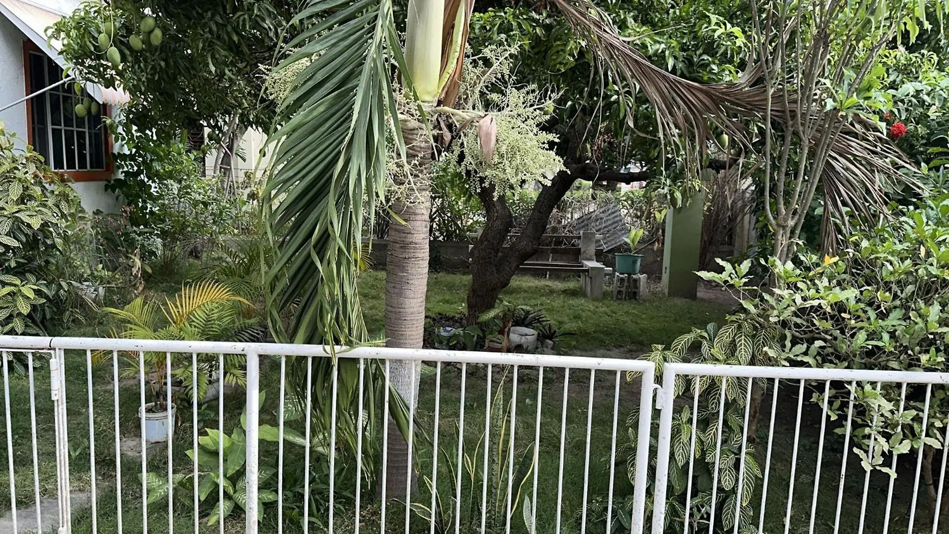 Holiday home Private Kingston Home With Mountain Views Jamaica