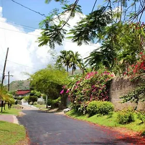 Widcombe 8 Homestay